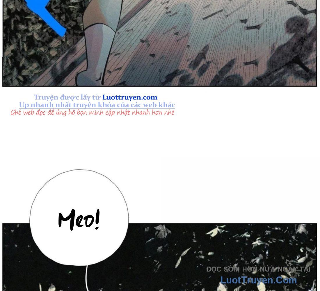 page_56