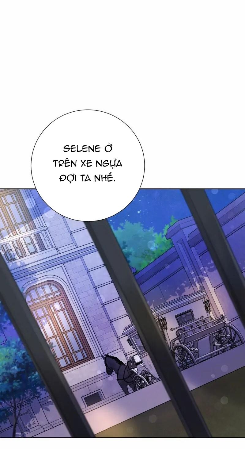 page_46