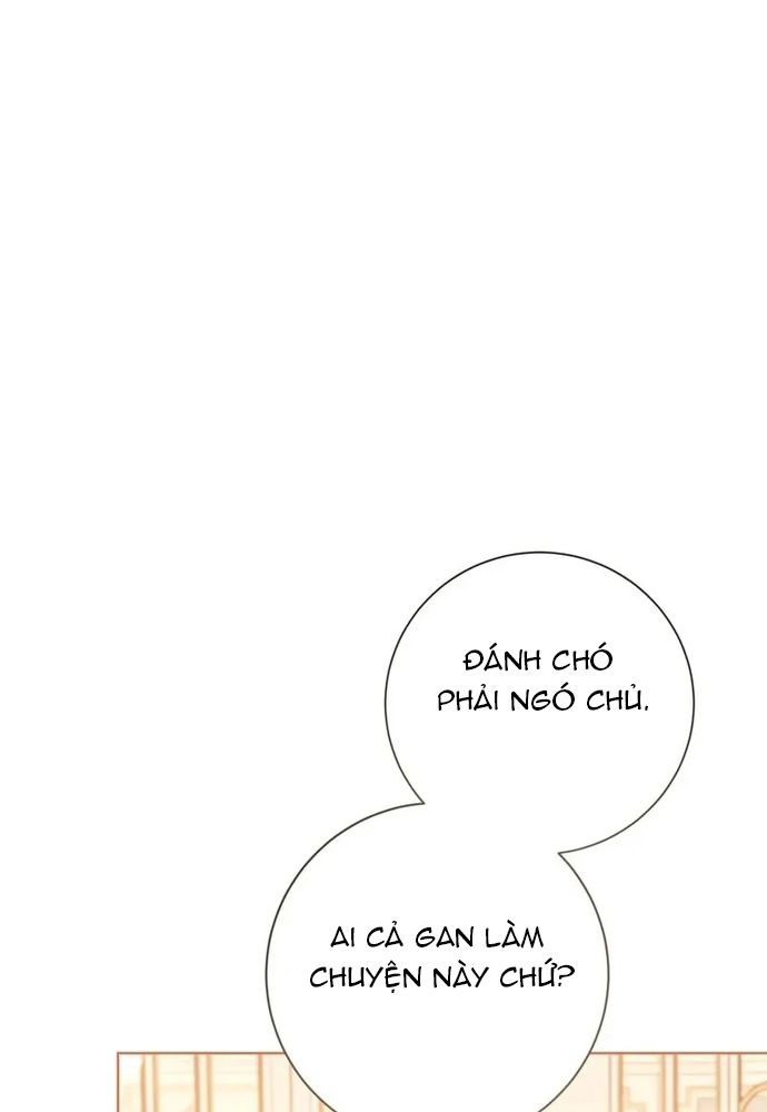 page_28