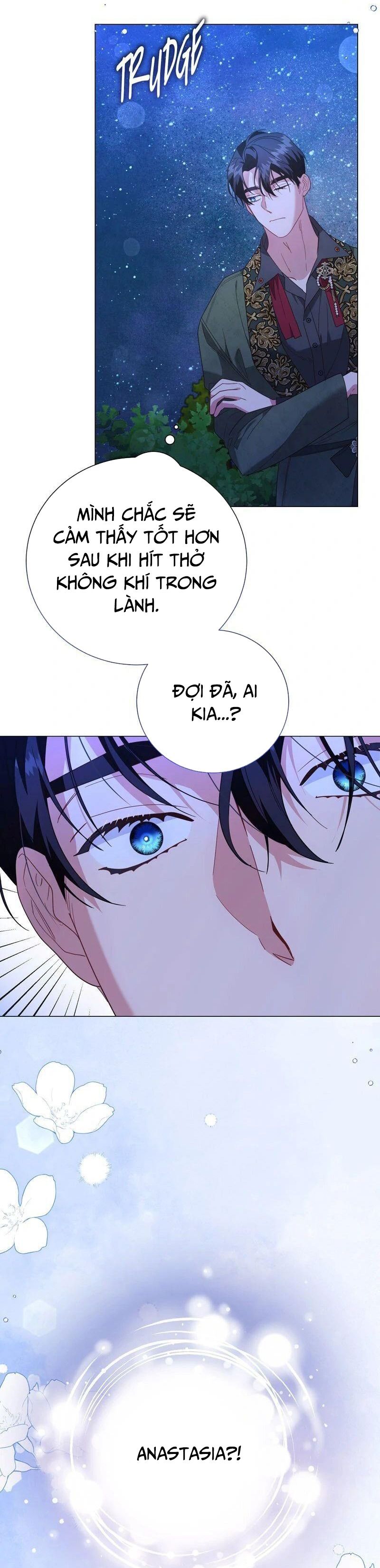 page_29