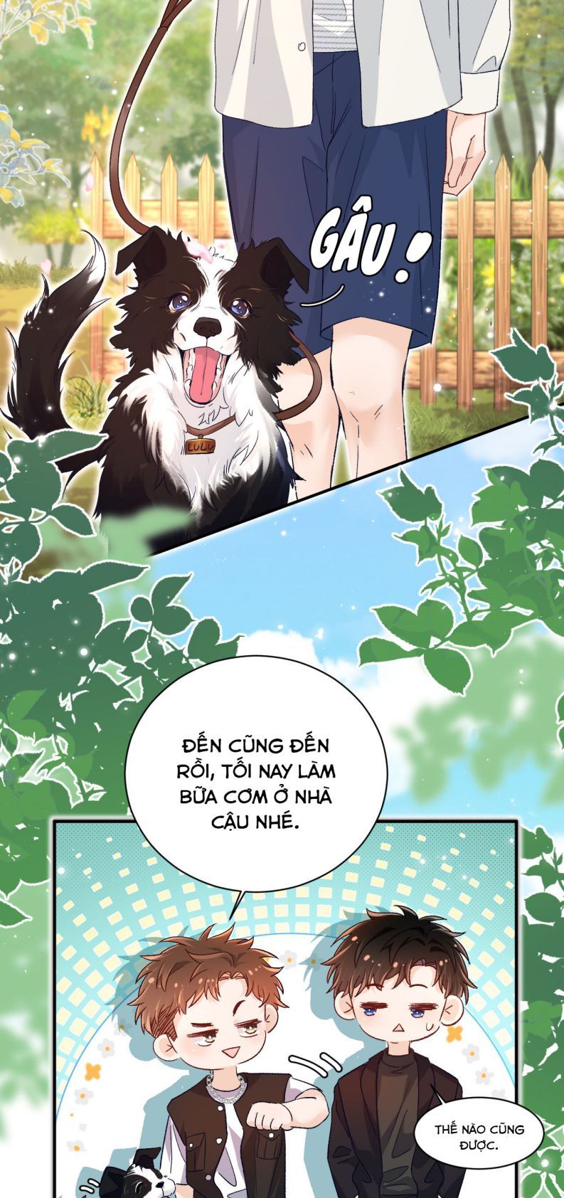 page_5