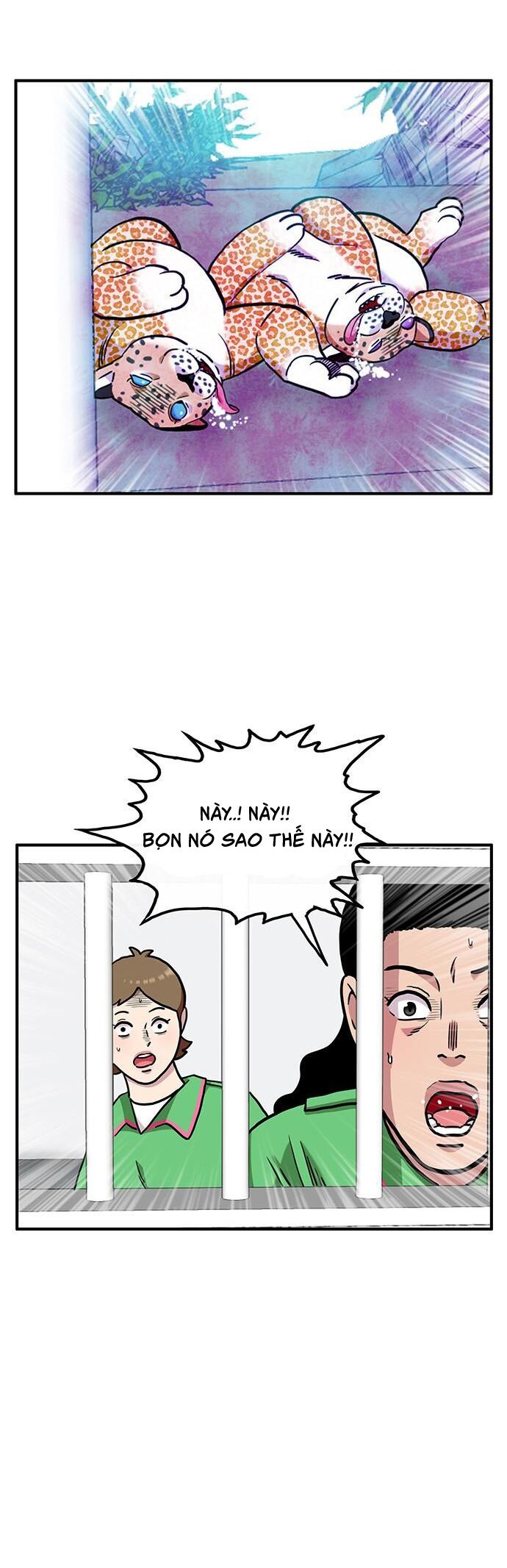 page_5