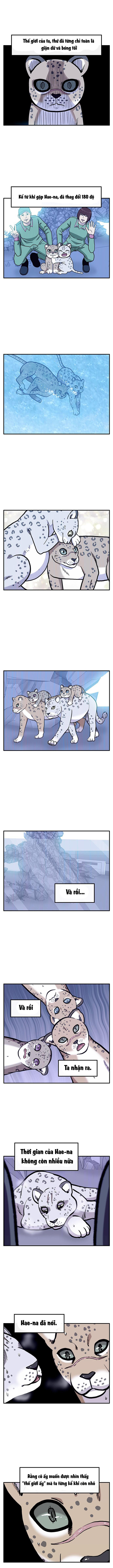 page_16