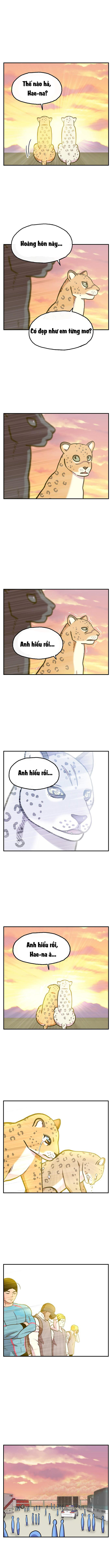 page_18