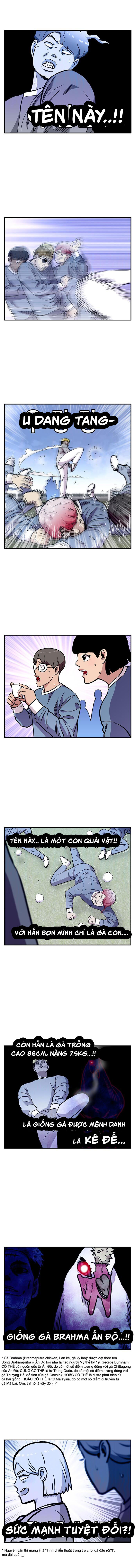page_5
