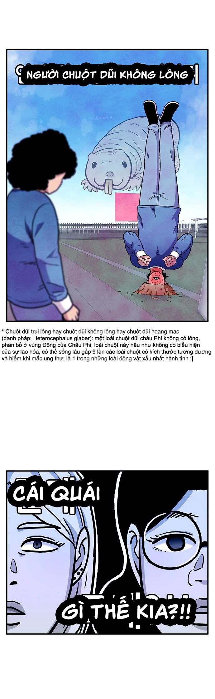page_29
