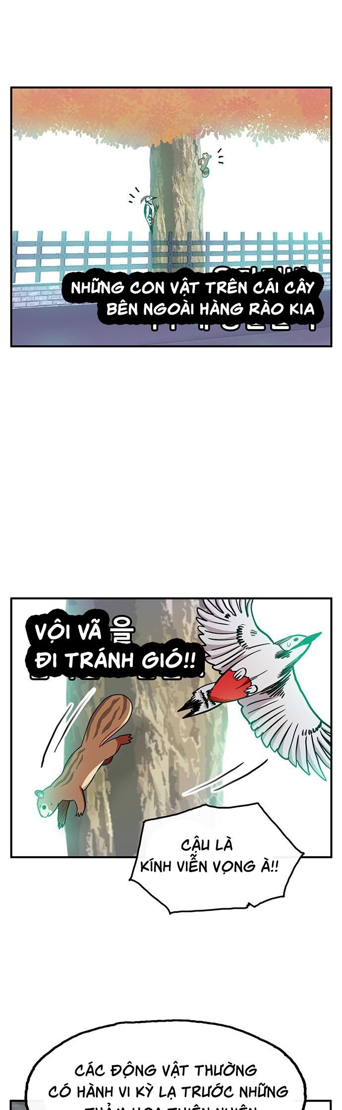 page_19