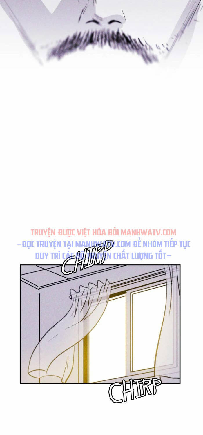 page_36