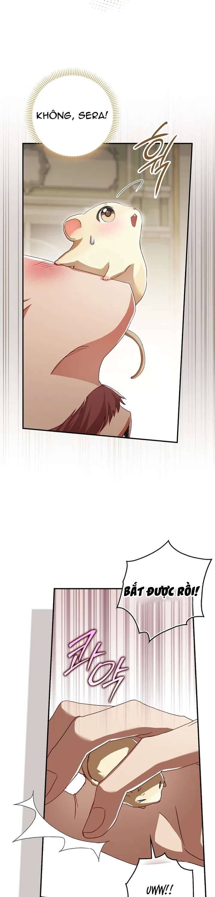 page_5