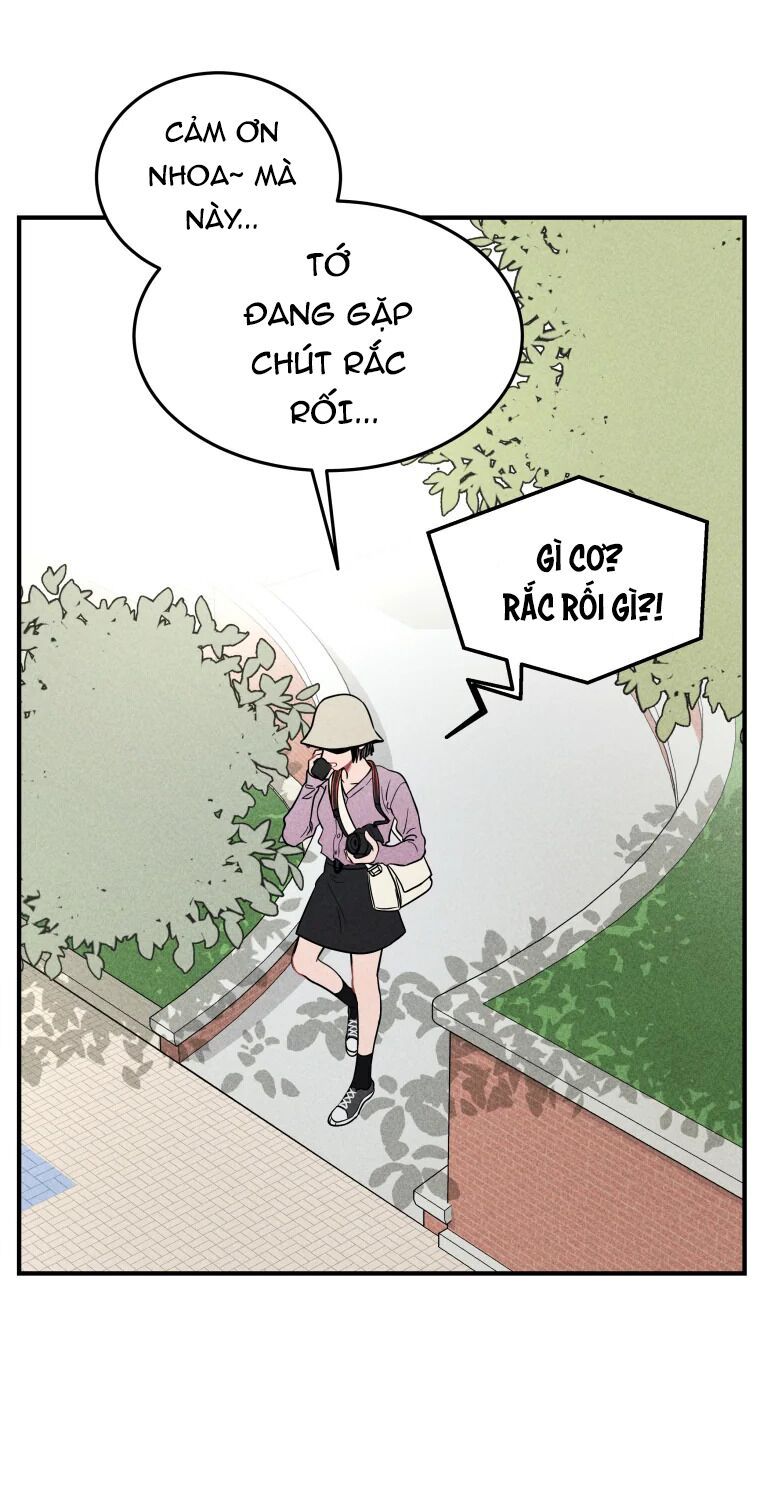 page_11