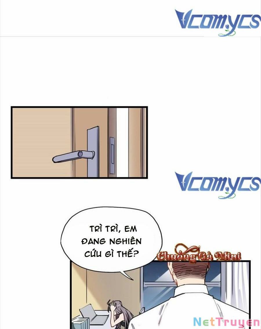 page_43
