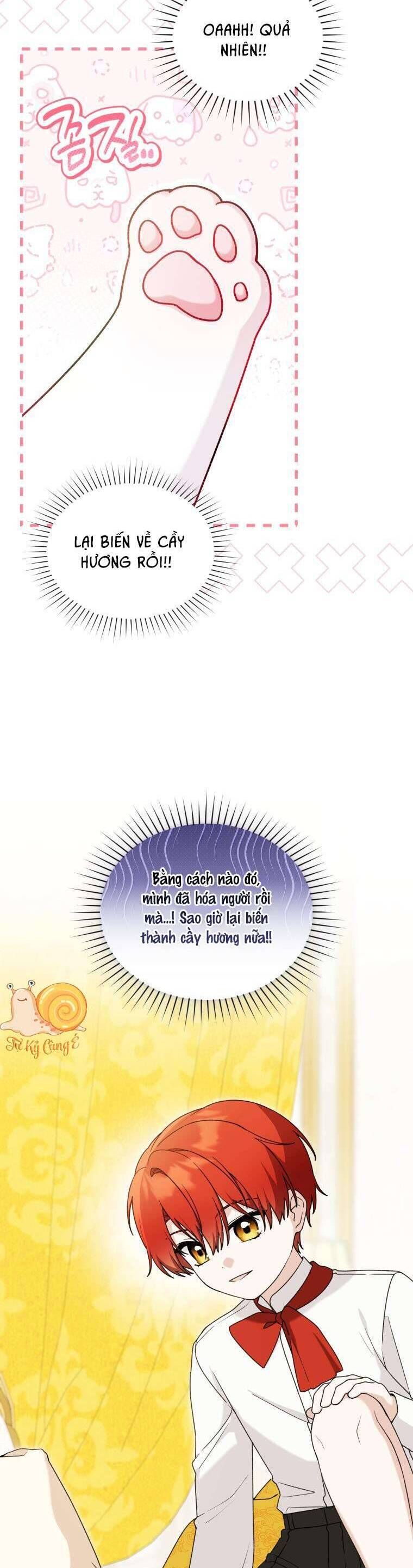 page_37