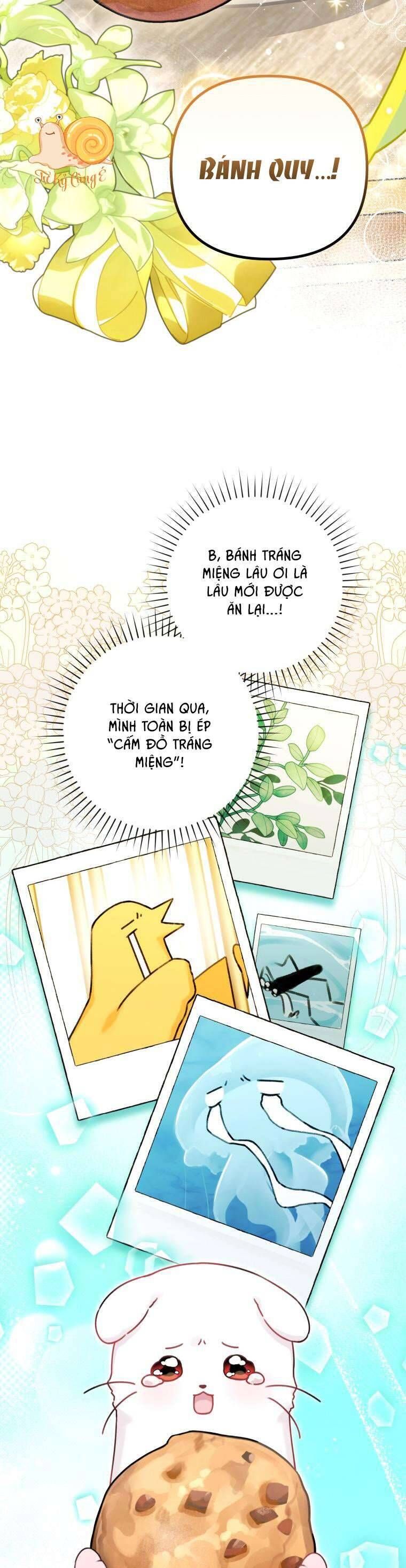 page_13