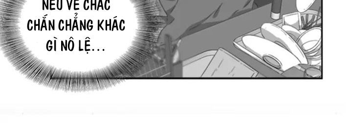page_28