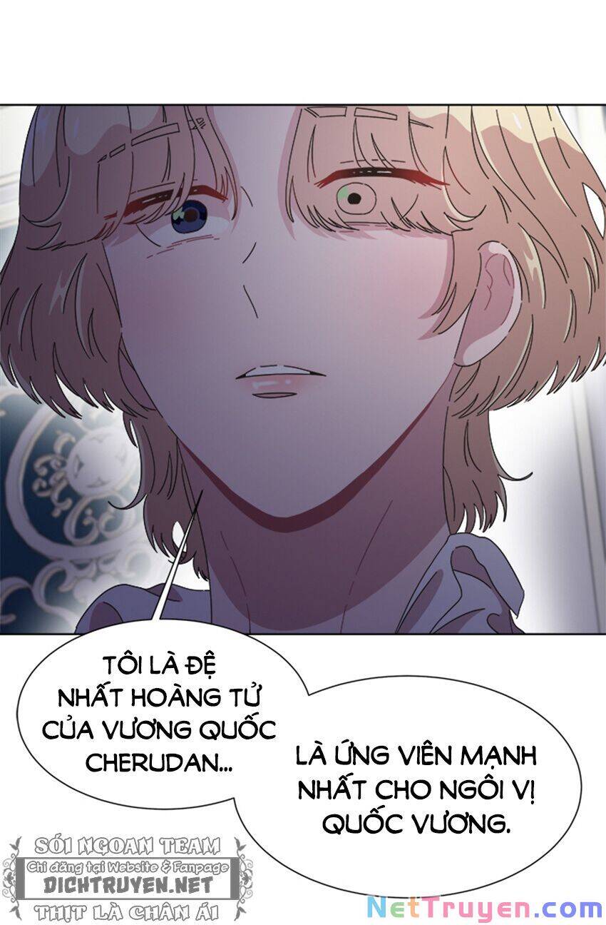 page_41