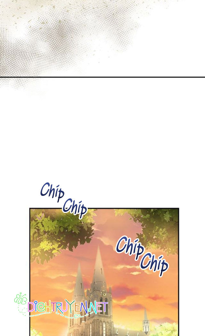 page_28