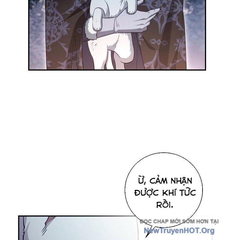 page_61