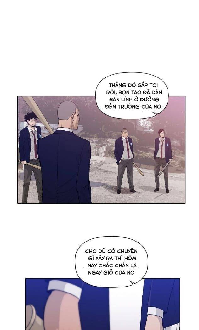 page_29