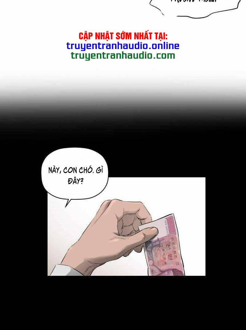 page_41