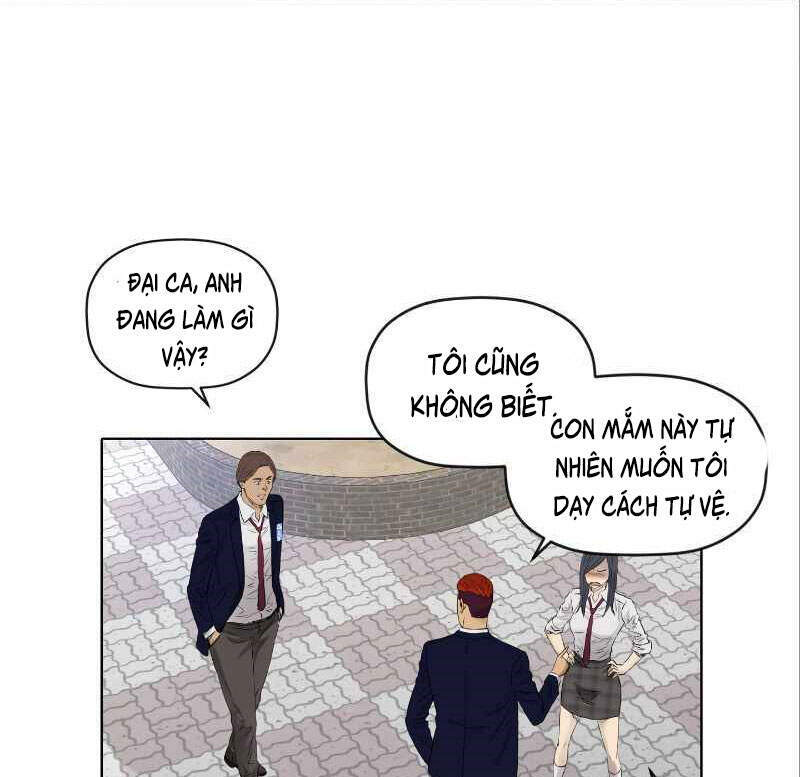 page_29