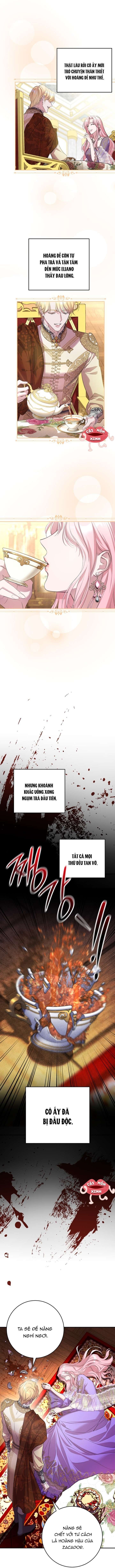 page_17
