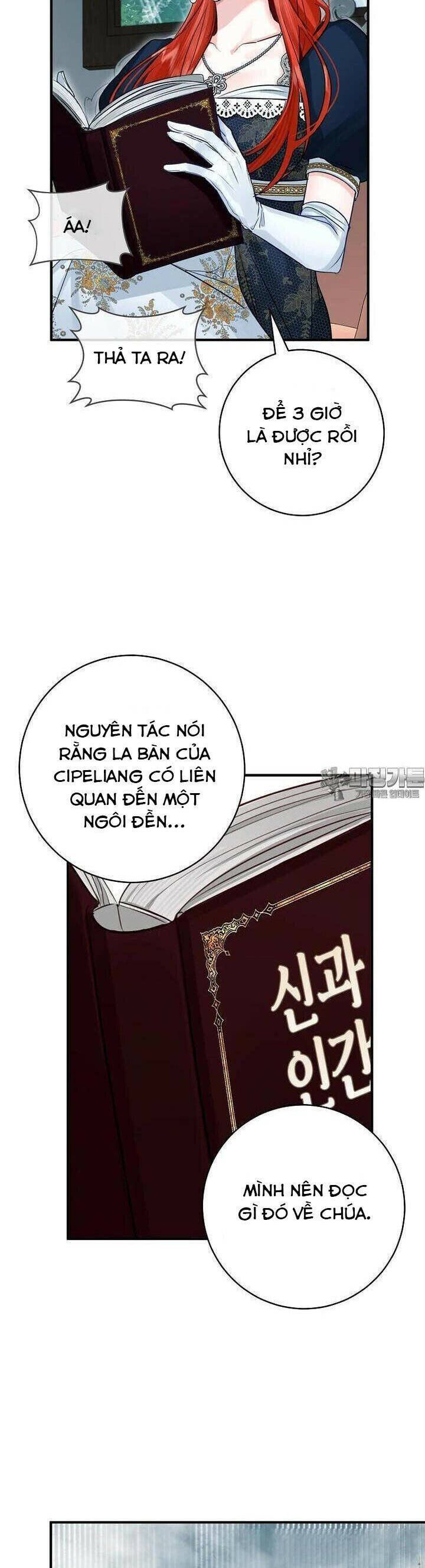 page_29