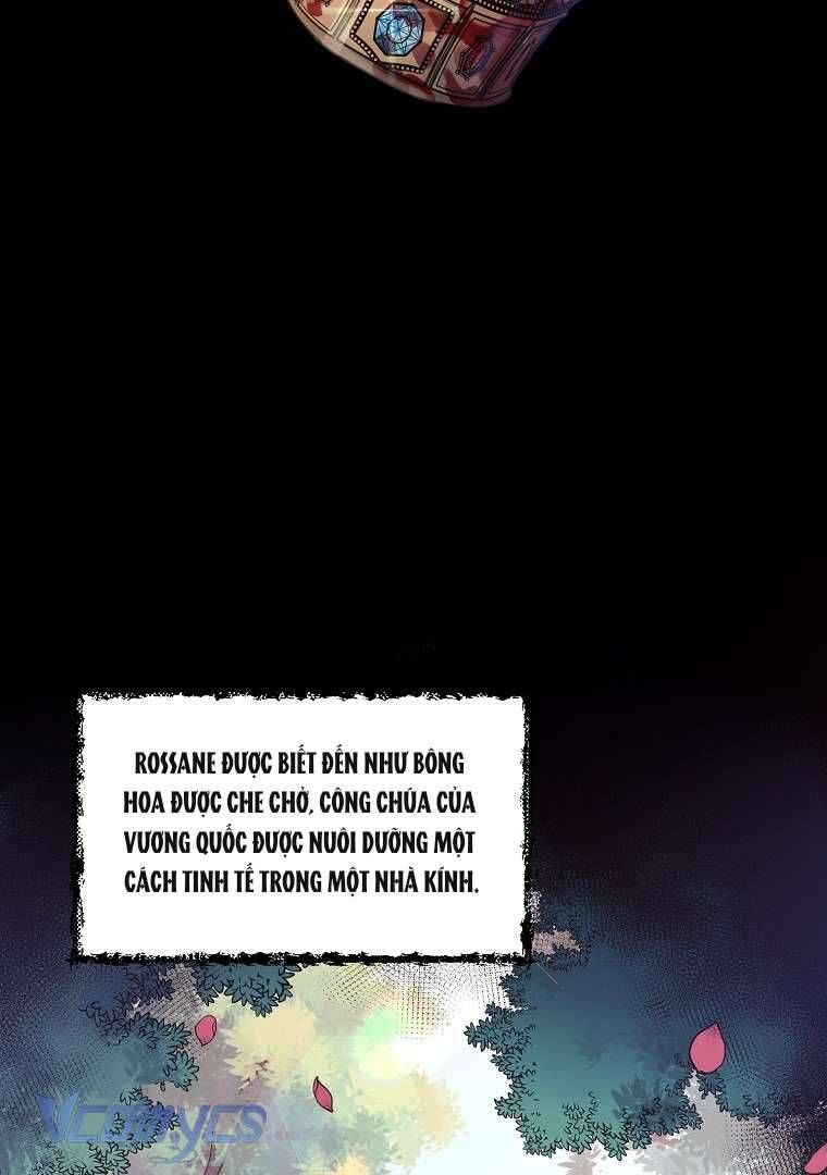 page_28
