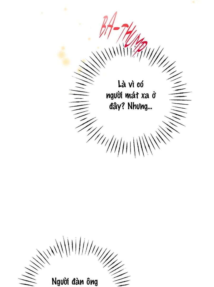 page_37
