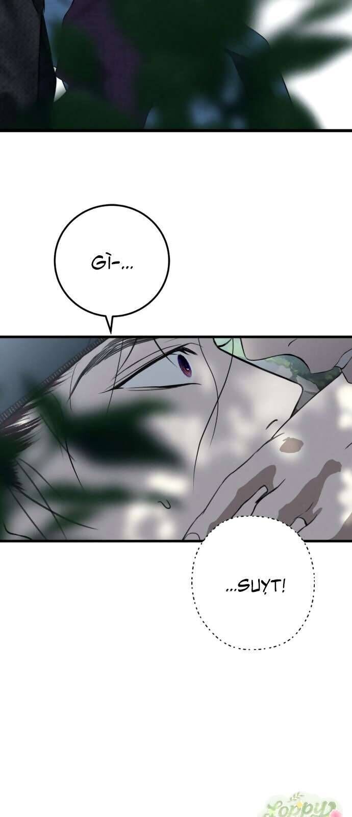 page_28
