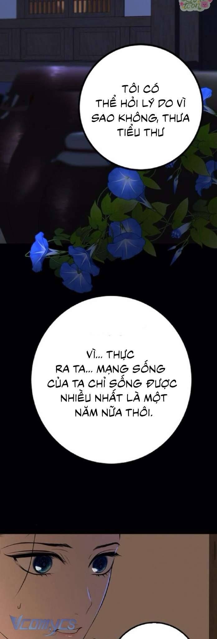 page_46