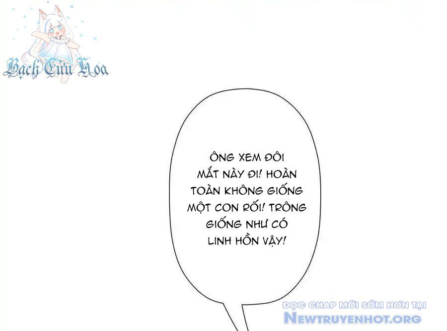 page_54