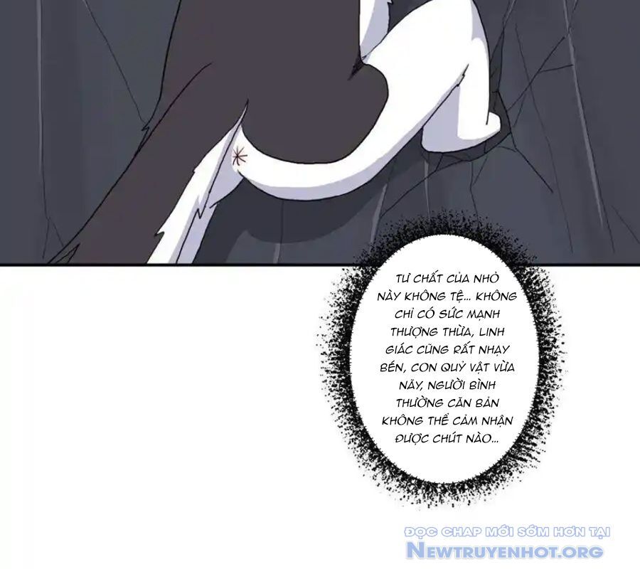 page_37