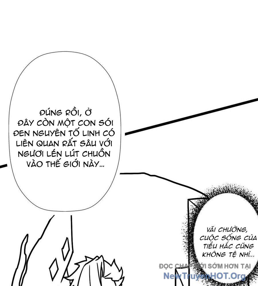 page_46