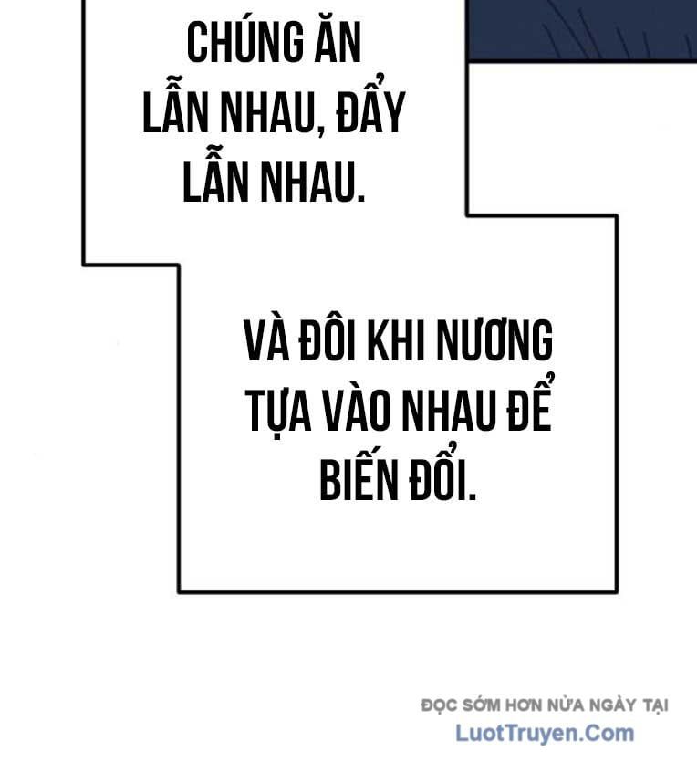 page_85