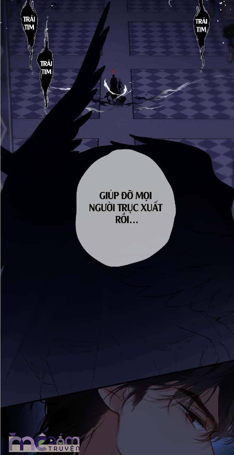 page_29