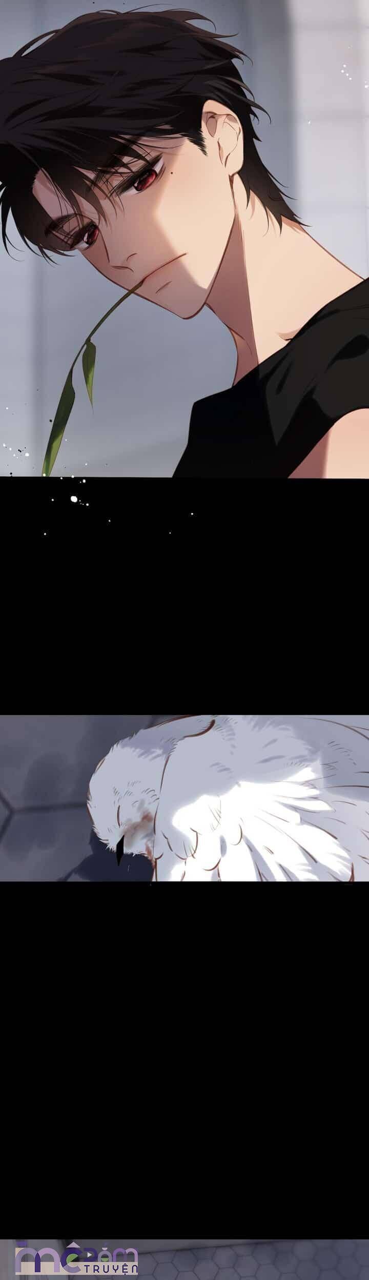 page_11