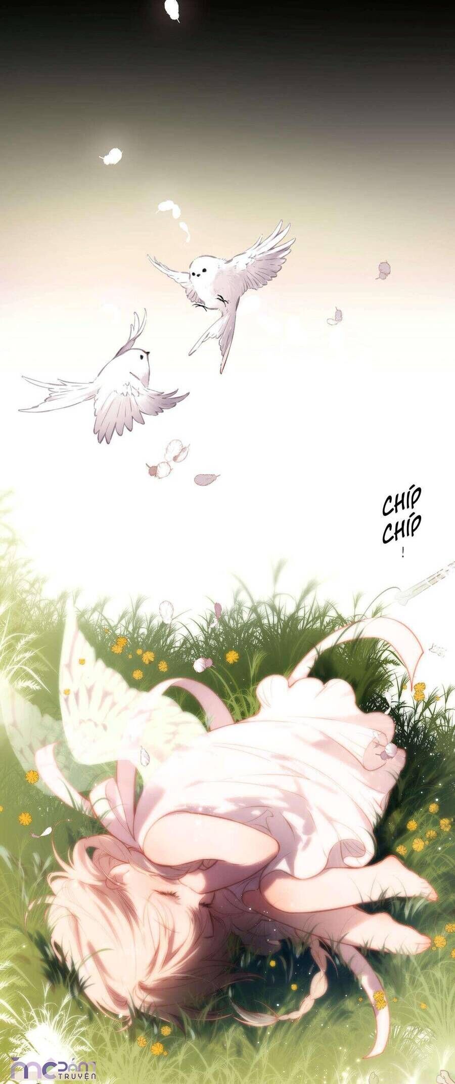 page_5