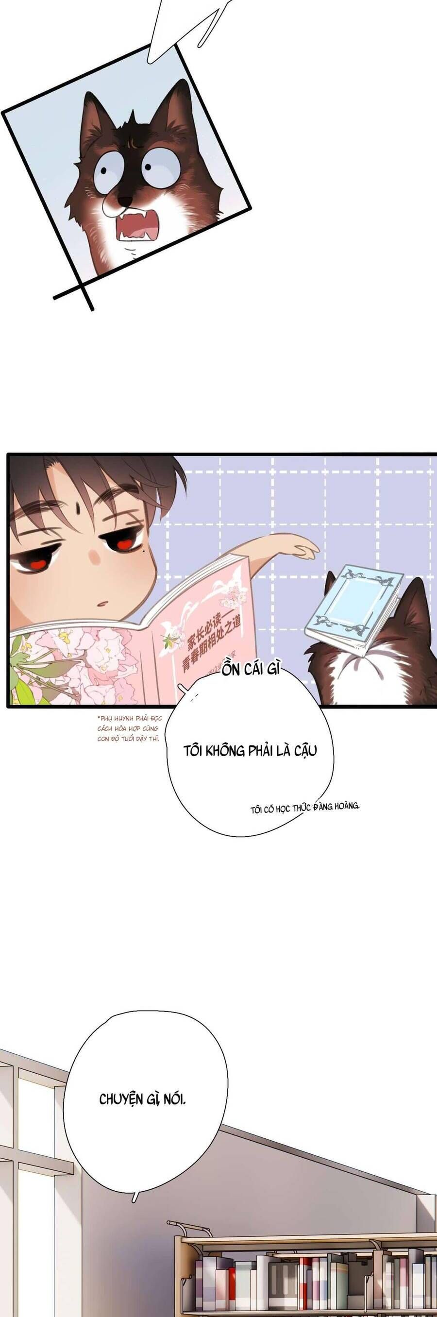page_29