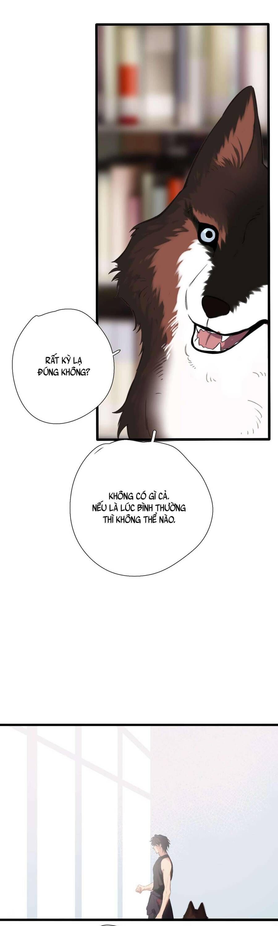 page_31