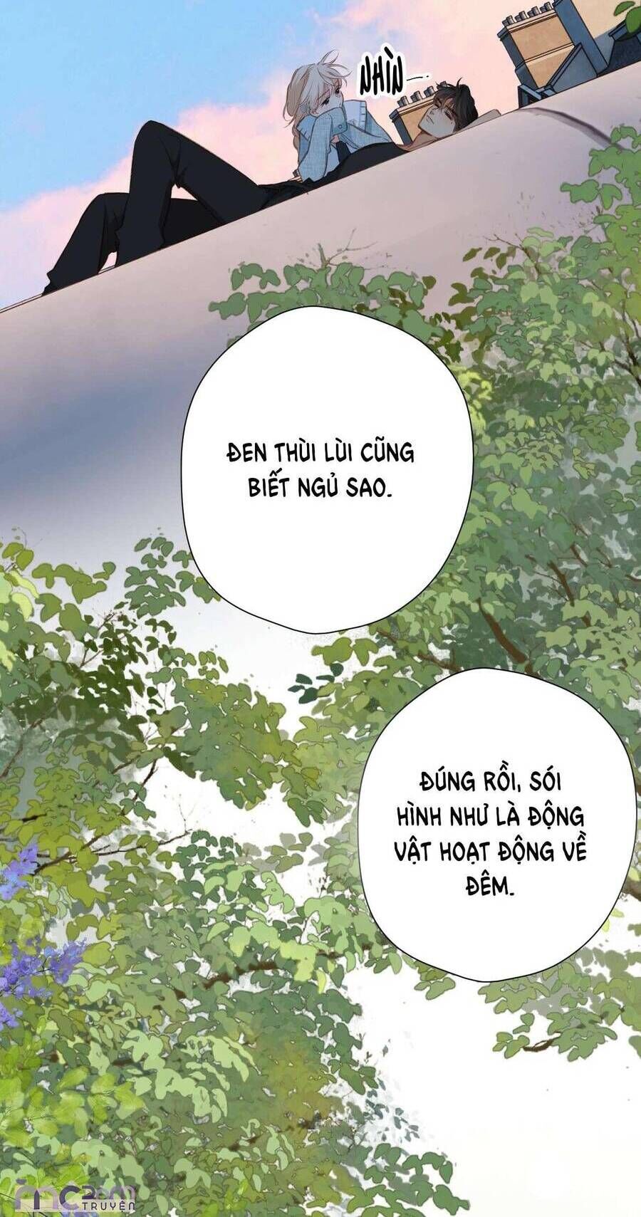 page_29