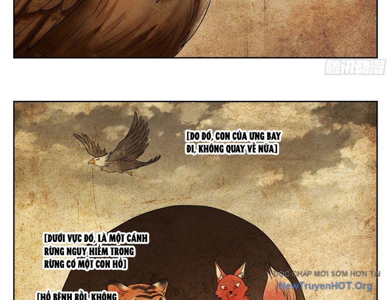 page_31