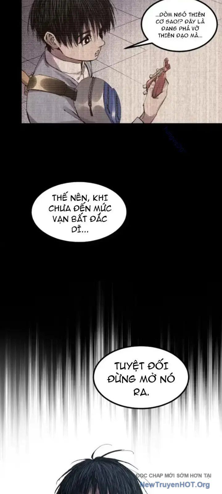 page_31