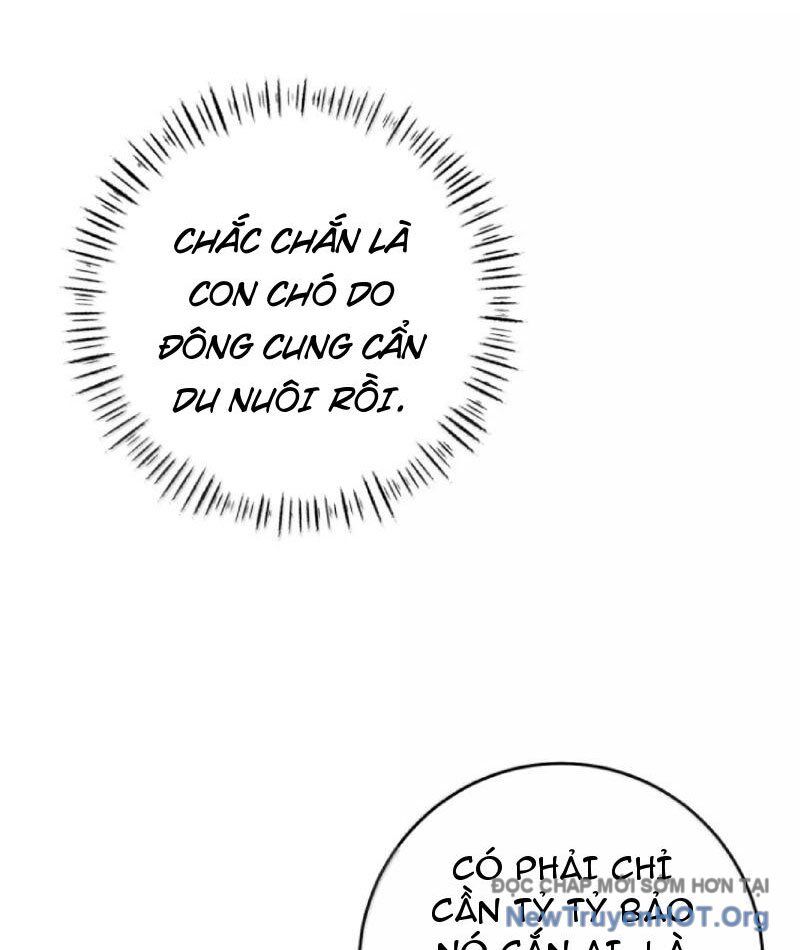 page_53