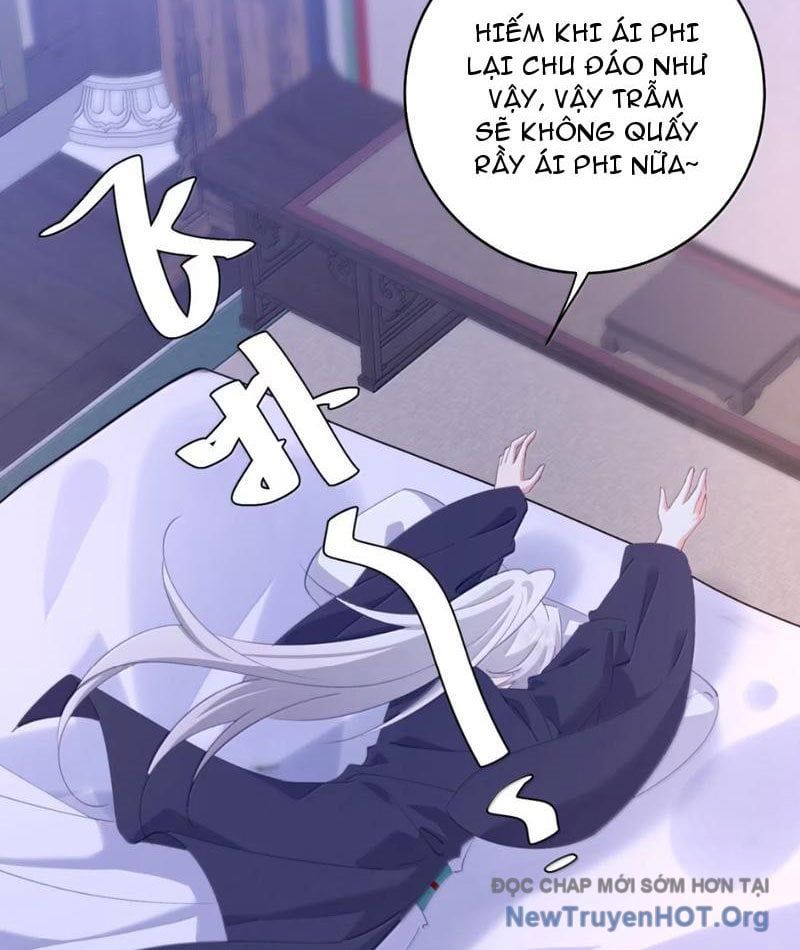page_49
