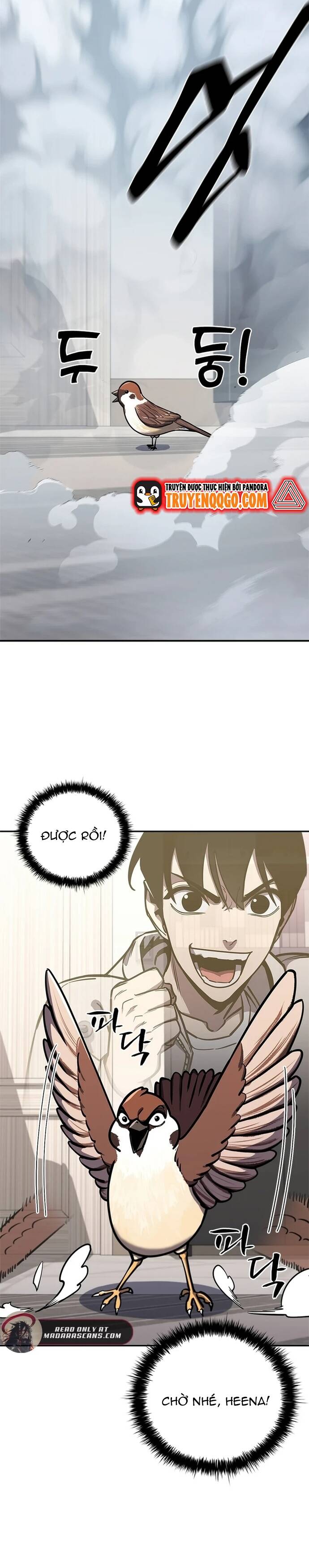 page_19