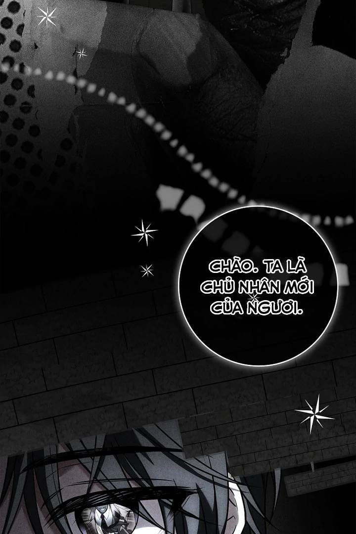 page_81