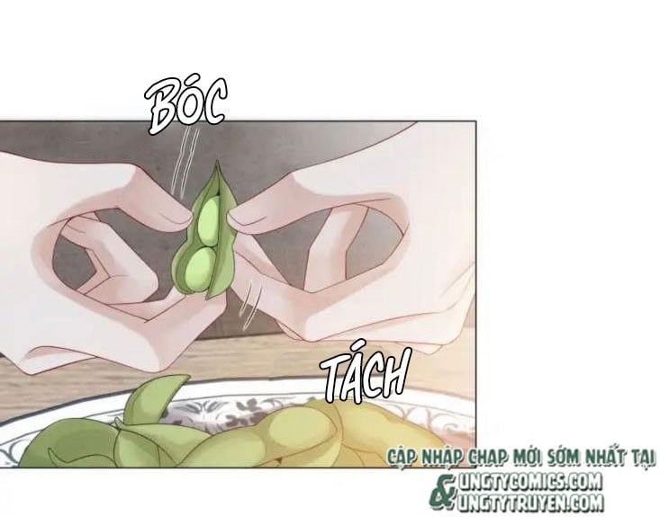page_21
