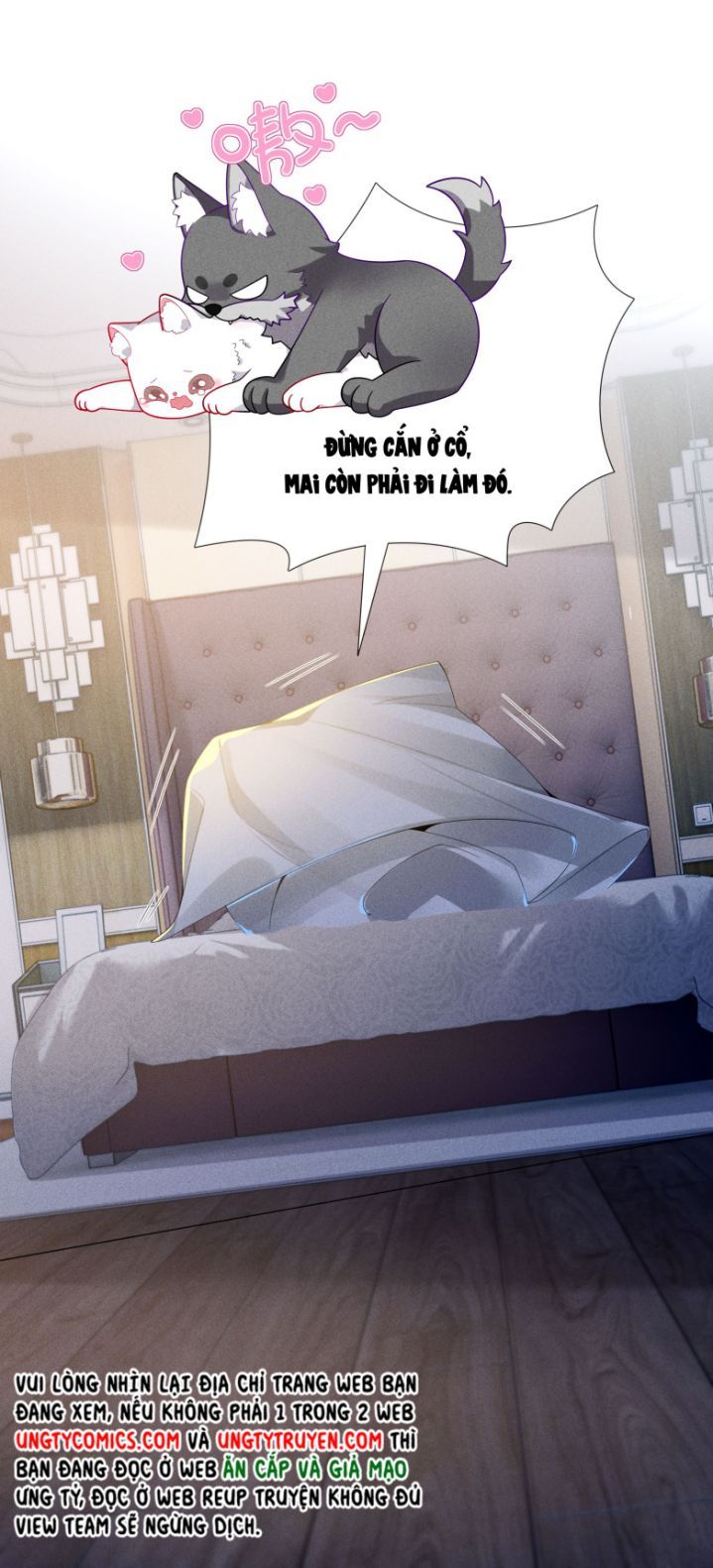 page_21