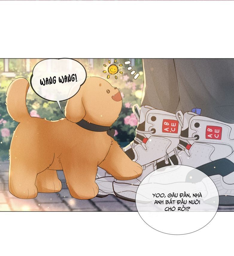 page_41