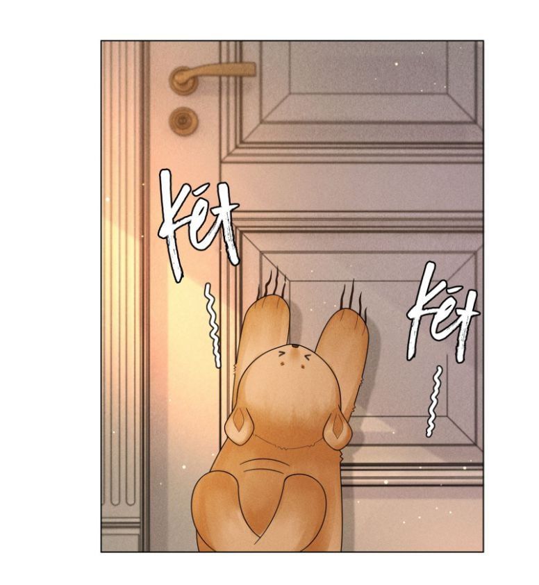 page_12